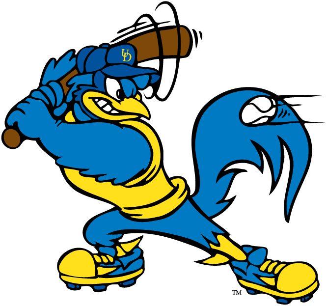 Delaware Blue Hens 1993-Pres Mascot Logo v8 DIY iron on transfer (heat transfer)
